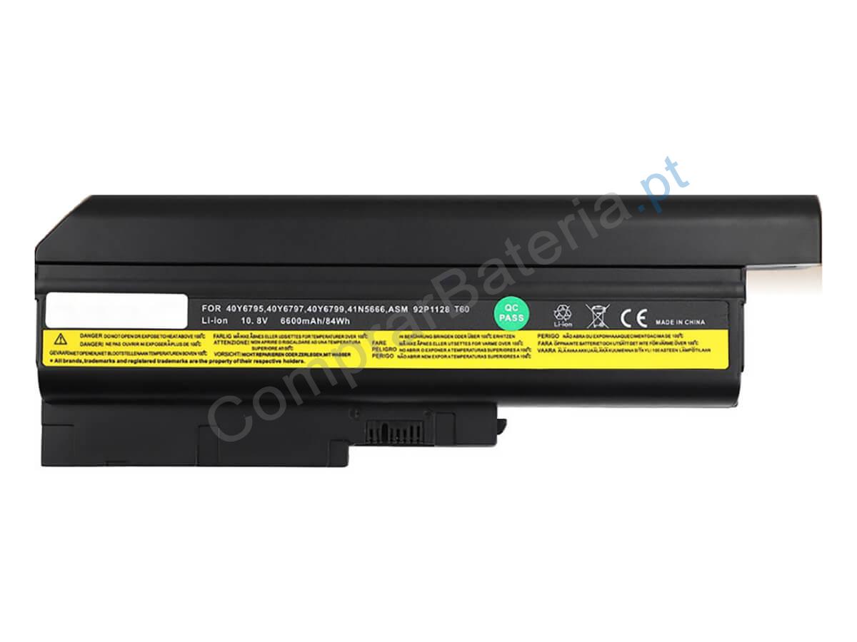 ThinkPad T60p 2009