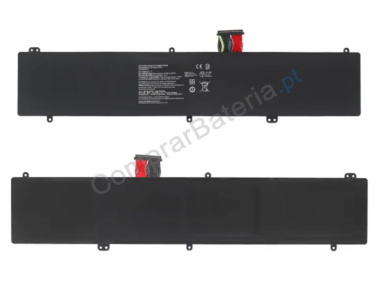 RZ09-01663E53-MSU1