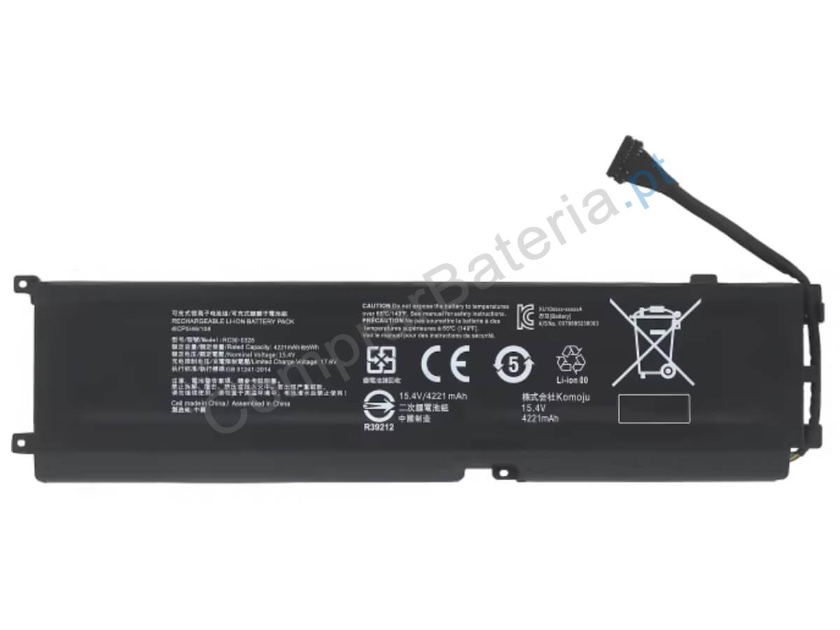 RZ09-0410x